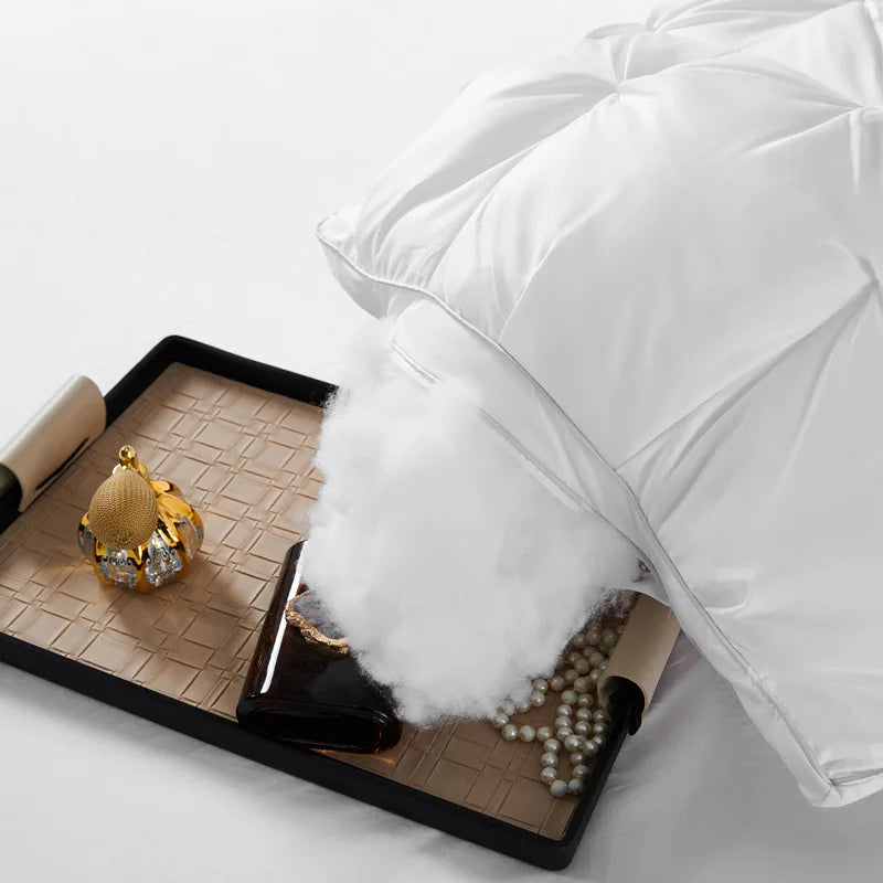 ClougHug Soft pillow set of 2 pieces